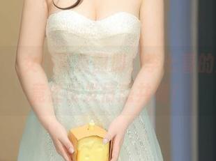 秀人网 - 女仆写真图册，李七喜的清洁术竟然引发情感共鸣！